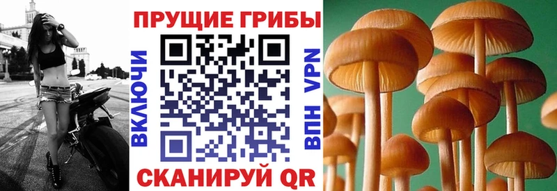 Галлюциногенные грибы прущие грибы  даркнет сайт  Боровск 